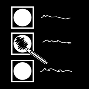 election
